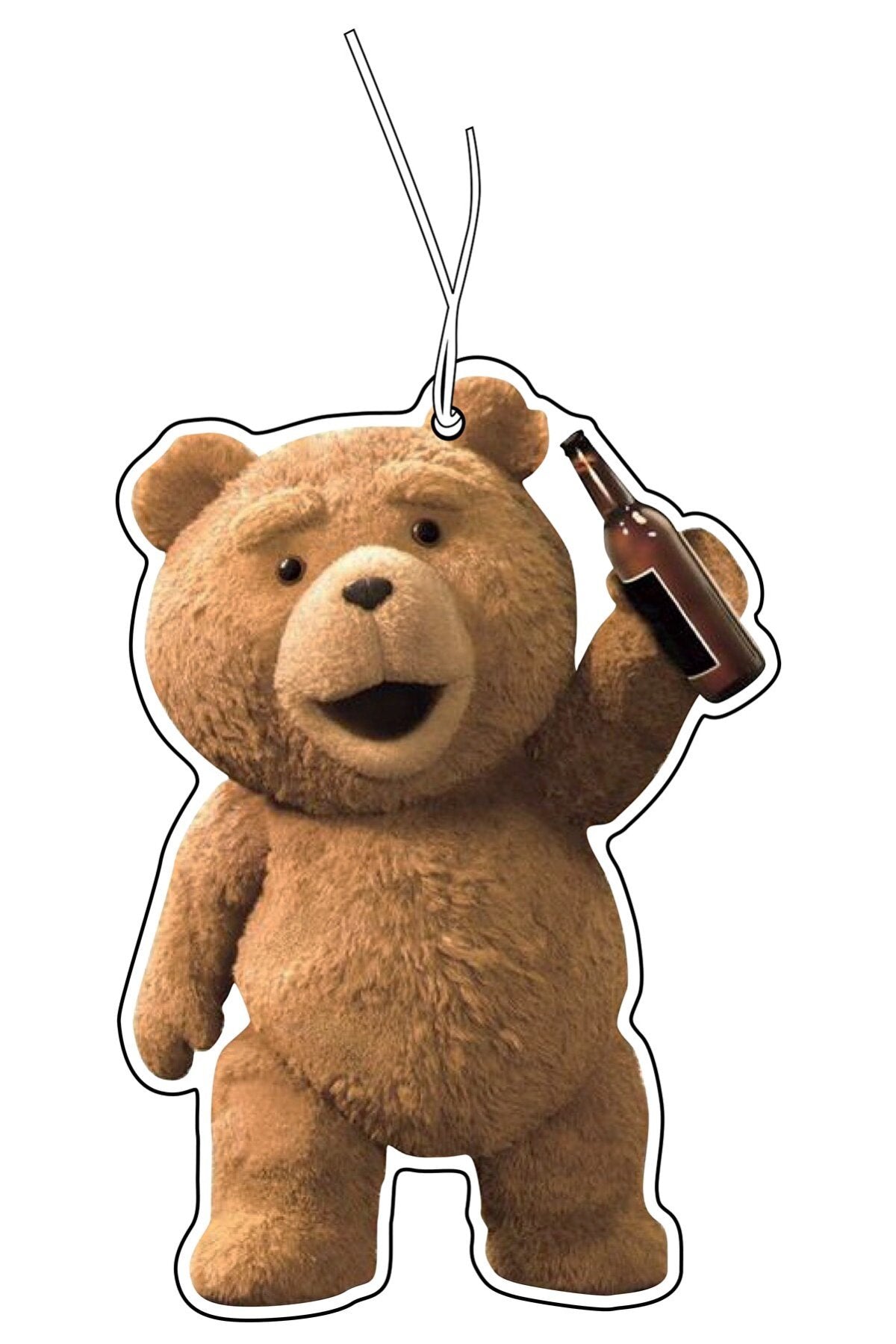 AYI TED TASARIMLI OTO KOKUSU